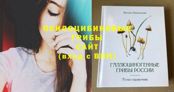 соль ск Алзамай