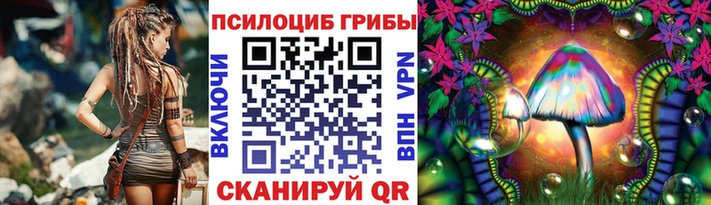 Галлюциногенные грибы мицелий Елец